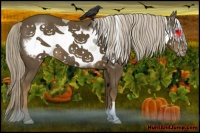 Horse Color:Chocolate Palomino Frame