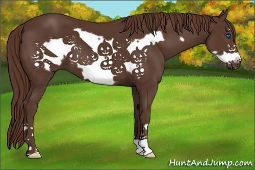 Horse Color:Liver Chestnut Frame 