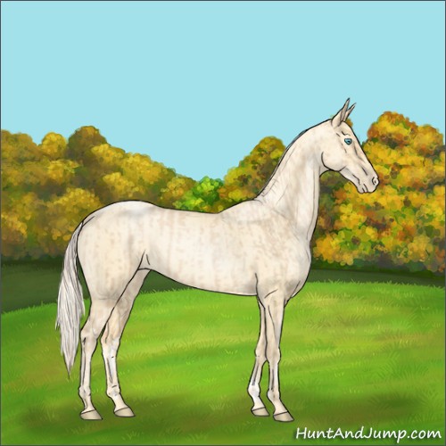 Horse Color:Palomino Roan Pearl and Palomino Roan Pearl