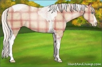 Horse Color:Plaid Silver Buckskin Pearl Tobiano