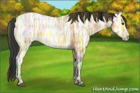 Horse Color:Plaid Bay Ice Roan