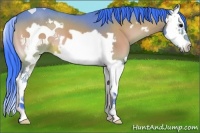 Horse Color:Watercolor Bay Roan Onyx Splash Frame 