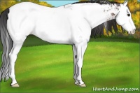 Horse Color:White Spotted Brown Sabino Splash Near Fewspot