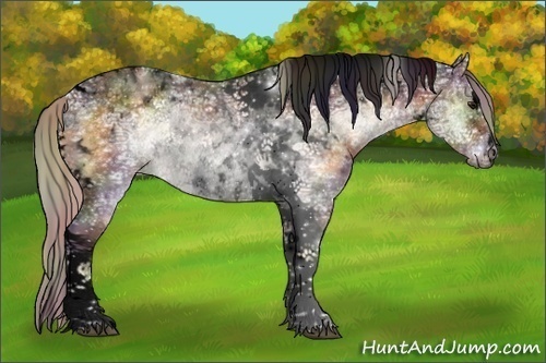 Horse Color:Void Nacre Silver Buckskin Ice Onyx Sabino Tobiano Rabicano 