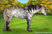Horse Color:Void Nacre Silver Buckskin Ice Onyx Sabino Tobiano Rabicano 