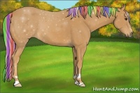 Horse Color:Painted Palomino 