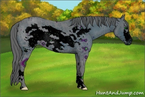 Horse Color:ERROR: UNKNOWN ANOMALY