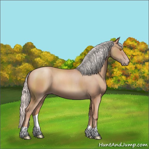 Horse Color:Silver Classic Champagne