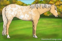 Horse Color:Palomino Ice Frame 