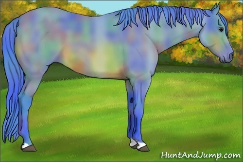 Horse Color:Nacre Watercolor Bay 