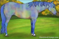 Horse Color:Nacre Watercolor Bay 