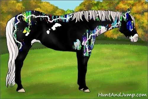 Horse Color:Silver Classic Champagne Ice Dun Splash Frame Rabicano