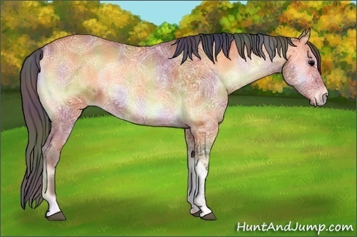 Horse Color:Nacre Bay Ice Onyx 