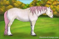 Horse Color:Watercolor Bay Ice Onyx 