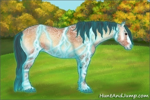 Horse Color:Thunderstruck Bay Ice Onyx 