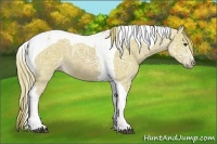 Horse Color:Watercolor Chestnut Ice Tobiano 