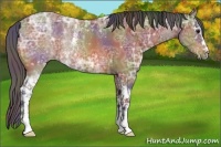 Horse Color:Nacre White Spotted Brown Ice Rabicano