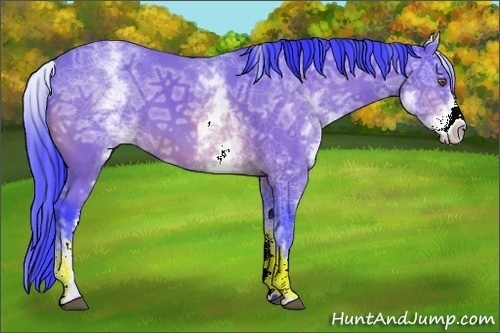 Horse Color:Watercolor White Spotted Bay Ice 