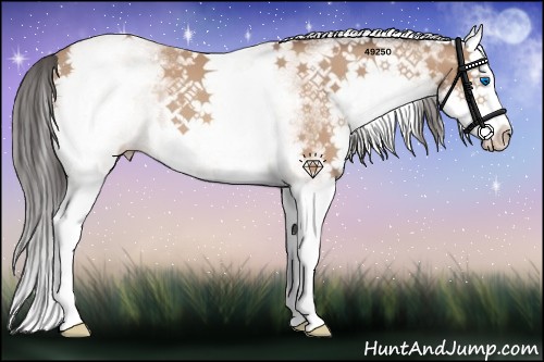 Horse Color:White Spotted Amber Champagne Splash 