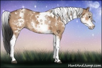 Horse Color:White Spotted Bay Dun Tobiano Rabicano 