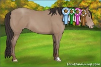 Horse Color:Classic Champagne 