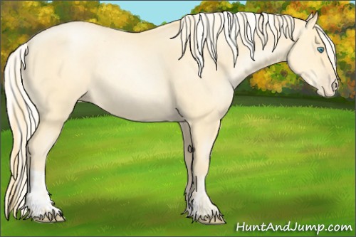 Horse Color:Buckskin Roan Pearl  and Silver Buckskin Roan Pearl 