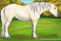 Horse Color:Buckskin Roan Pearl  and Silver Buckskin Roan Pearl 