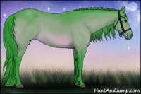 Horse Color:Watercolor Bay 