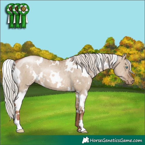 Horse Color:White Spotted Silver Grullo Pearl Brindle 