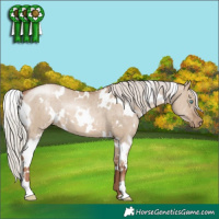Horse Color:White Spotted Silver Grullo Pearl Brindle 