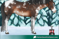 Horse Color:White Spotted Brown Splash Tobiano Rabicano