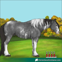 Horse Color:Liver Chestnut Sabino Tobiano 