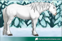 Horse Color:Liver Chestnut Mushroom Sabino Appaloosa 