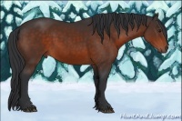 Horse Color:Brown 