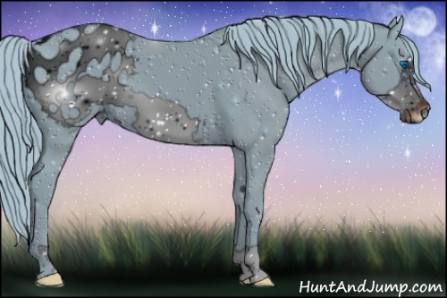 Horse Color:ERROR: UNKNOWN ANOMALY