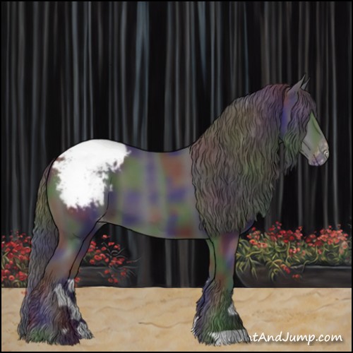 Horse Color:Nacre Black Appaloosa