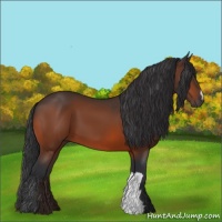 Horse Color:Brown 