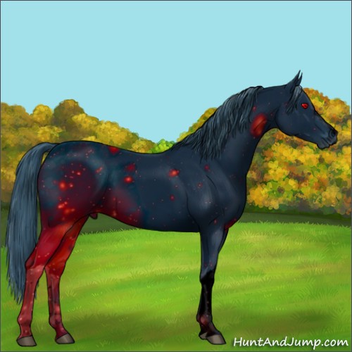 Horse Color:ERROR: UNKNOWN ANOMALY
