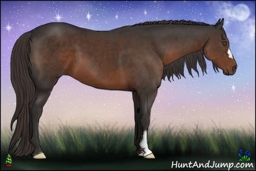 Horse Color:Liver Chestnut Frame 