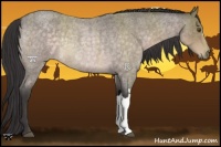 Horse Color:Platinum Buckskin Roan Rabicano 