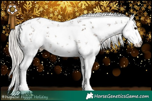 Horse Color:White Spotted Silver Black Sabino Rabicano 