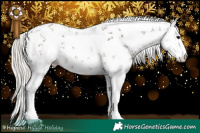 Horse Color:White Spotted Silver Black Sabino Rabicano