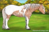 Horse Color:Silver Bay Ice Sabino Tobiano Appaloosa Rabicano 