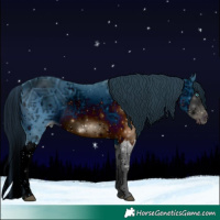 Horse Color:ERROR: UNKNOWN ANOMALY