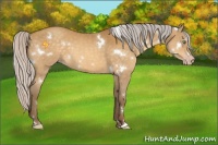 Horse Color:White Spotted Silver Sable Cream Champagne 