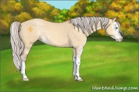 Horse Color:Silver Sable Cream Champagne Dun Sabino Splash 