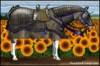 Horse Color:Buckskin Splash Frame Appaloosa Rabicano 