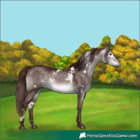 Horse Color:Gray Platinum White Spotted Chocolate Brown Dun 