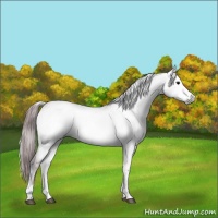 Horse Color:Gray Platinum White Spotted Chocolate Brown Onyx 