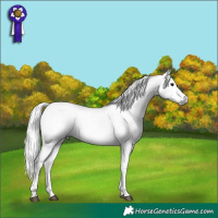 Horse Color:Gray Platinum White Spotted Chocolate Brown Onyx